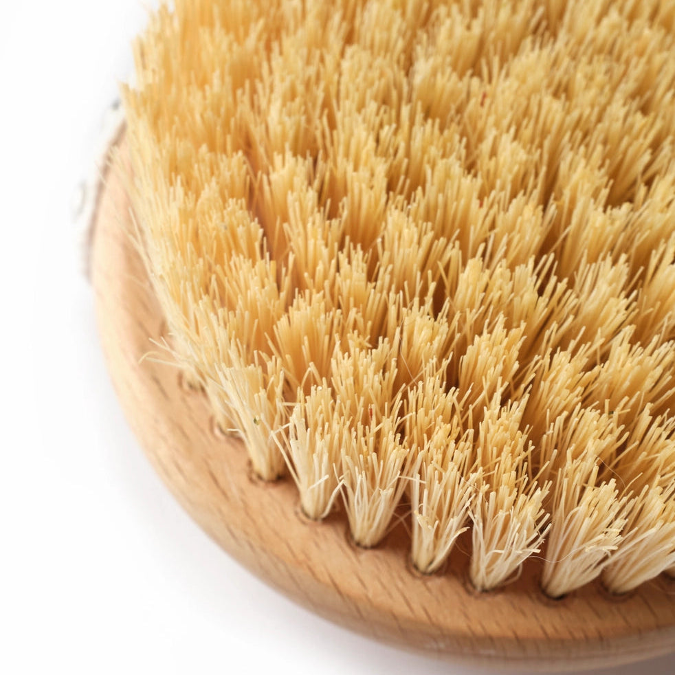 Dry Brush