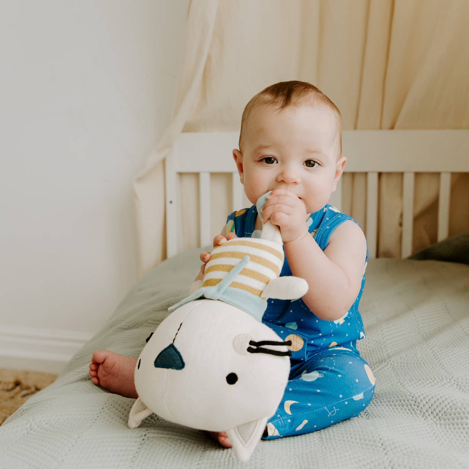Remi Cat- Organic Fine Knit Stuffed Animal Baby Toy