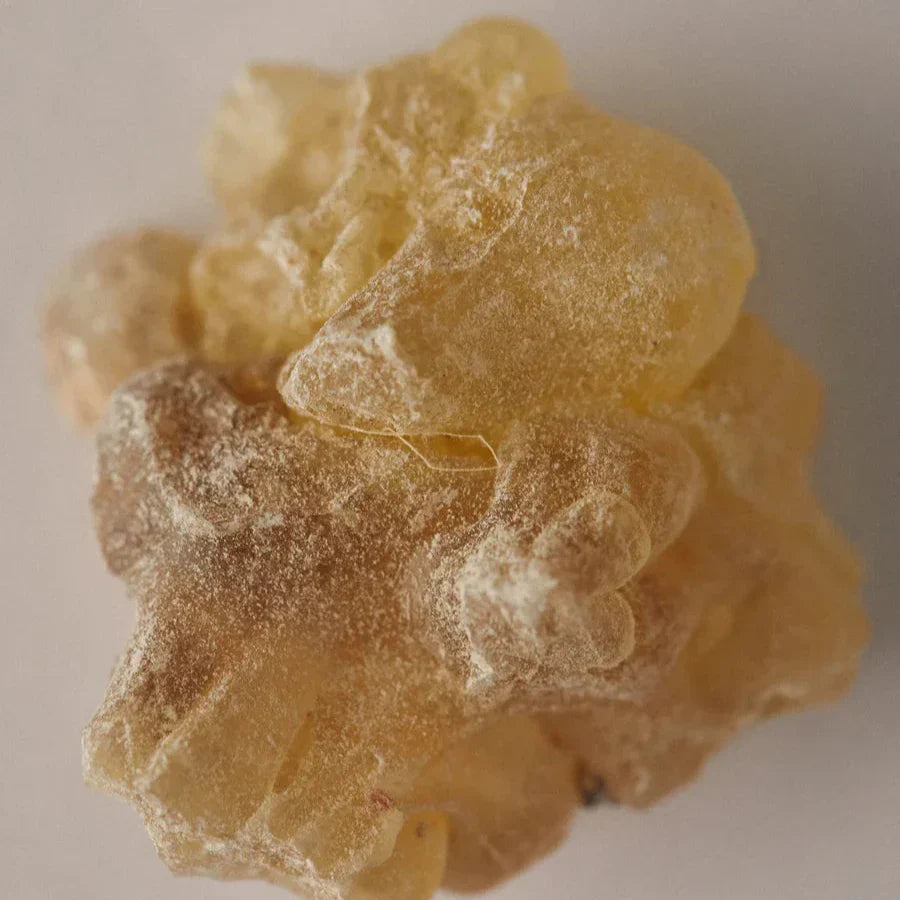 White Oudh Scented Oil Roller Ball 15ml