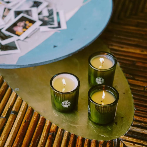 Clarity Candle - Douglas Fir & Ancient Vetiver