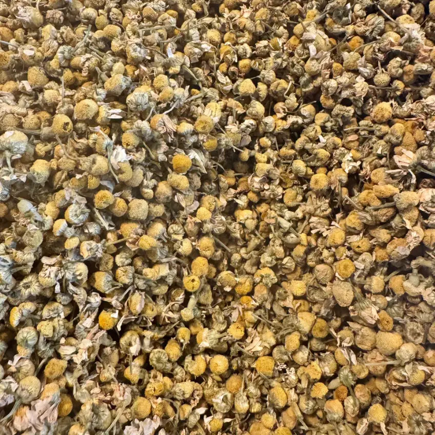 Chamomile Tea Set - with Tea Steeper