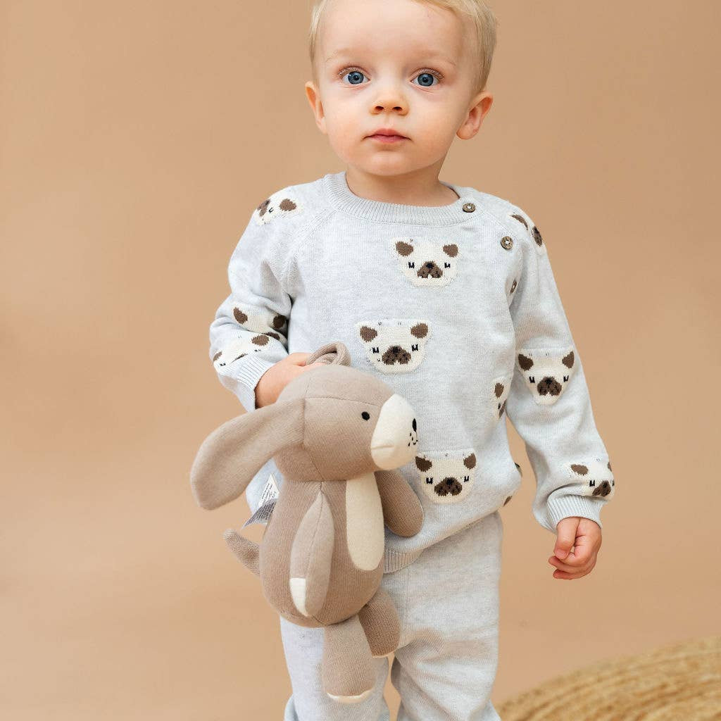 Frenchie Puppy Jacquard Knit Baby Pullover + Pants  Organic