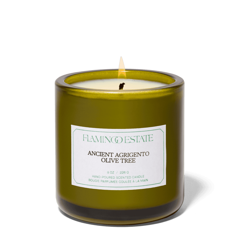 Ancient Agrigento Olive Tree Candle