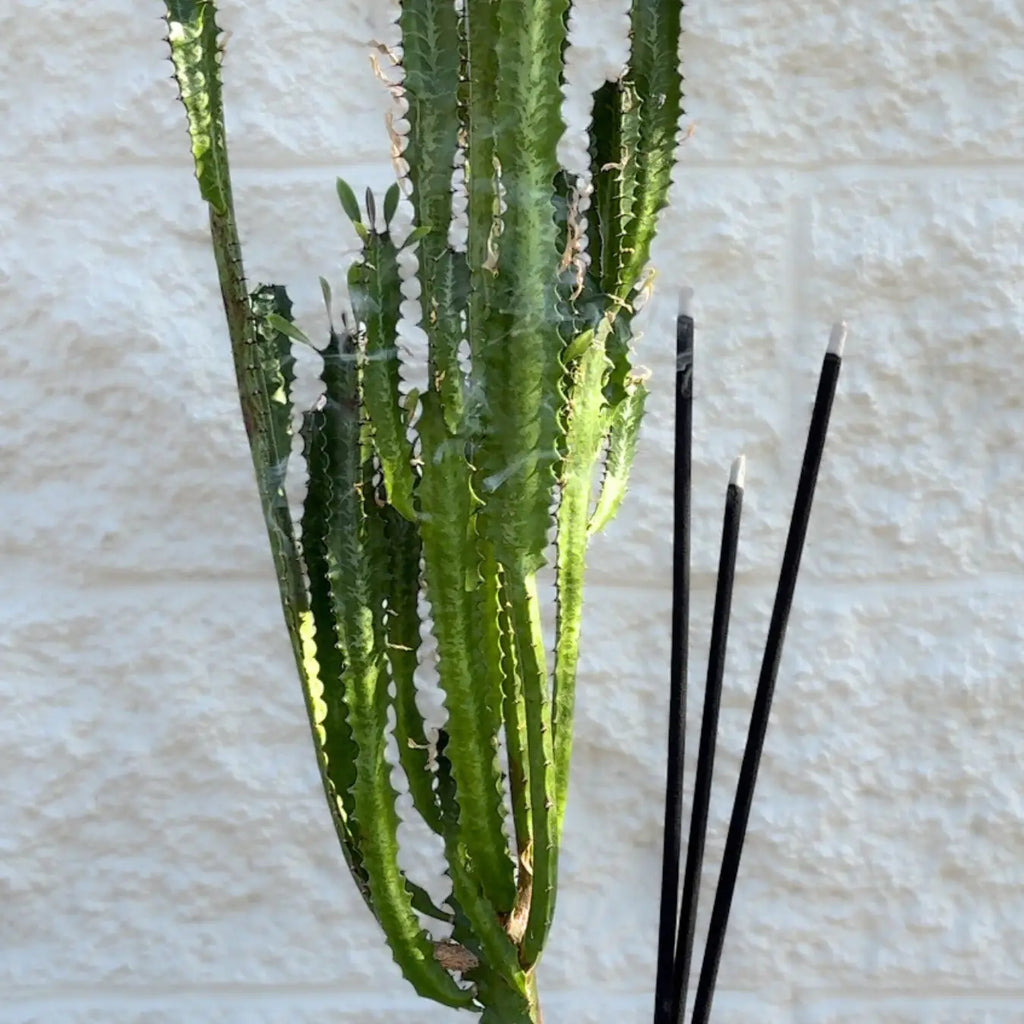 Outdoor Incense