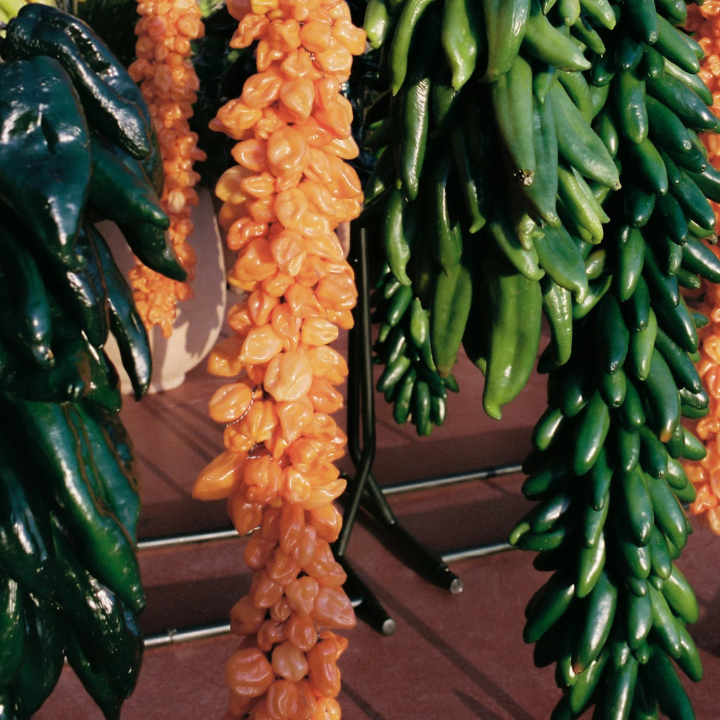 Spicy Extra Virgin Olive Oil