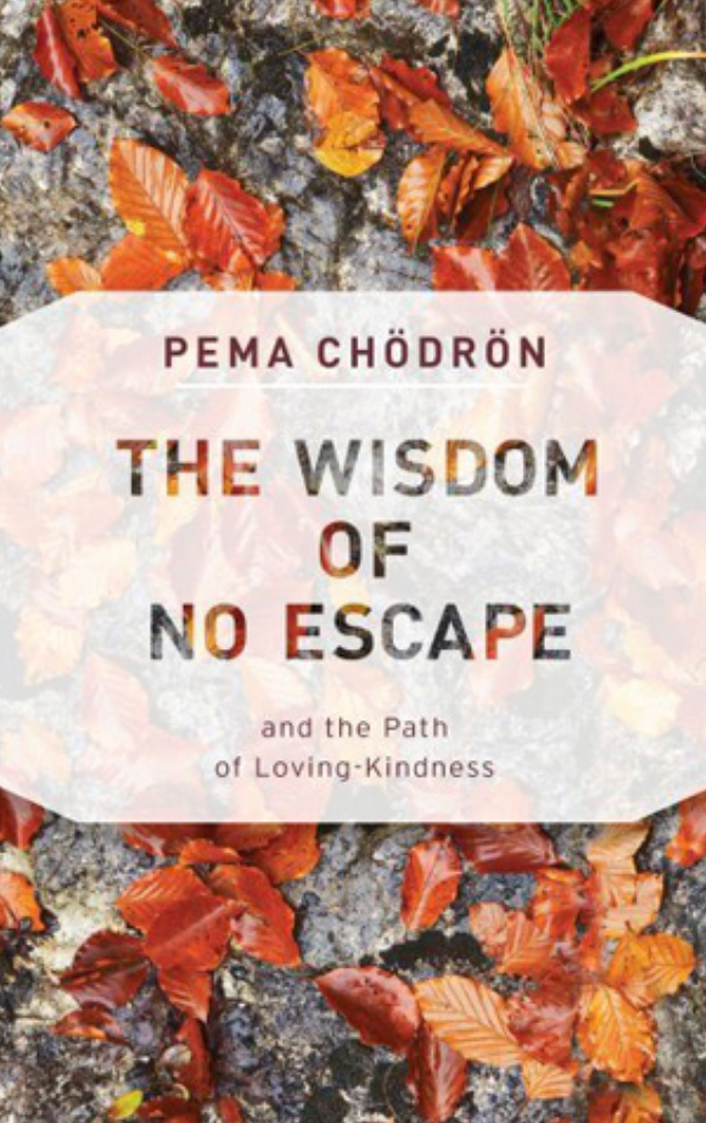 The Wisdom of No Escape by Pema Chödrön