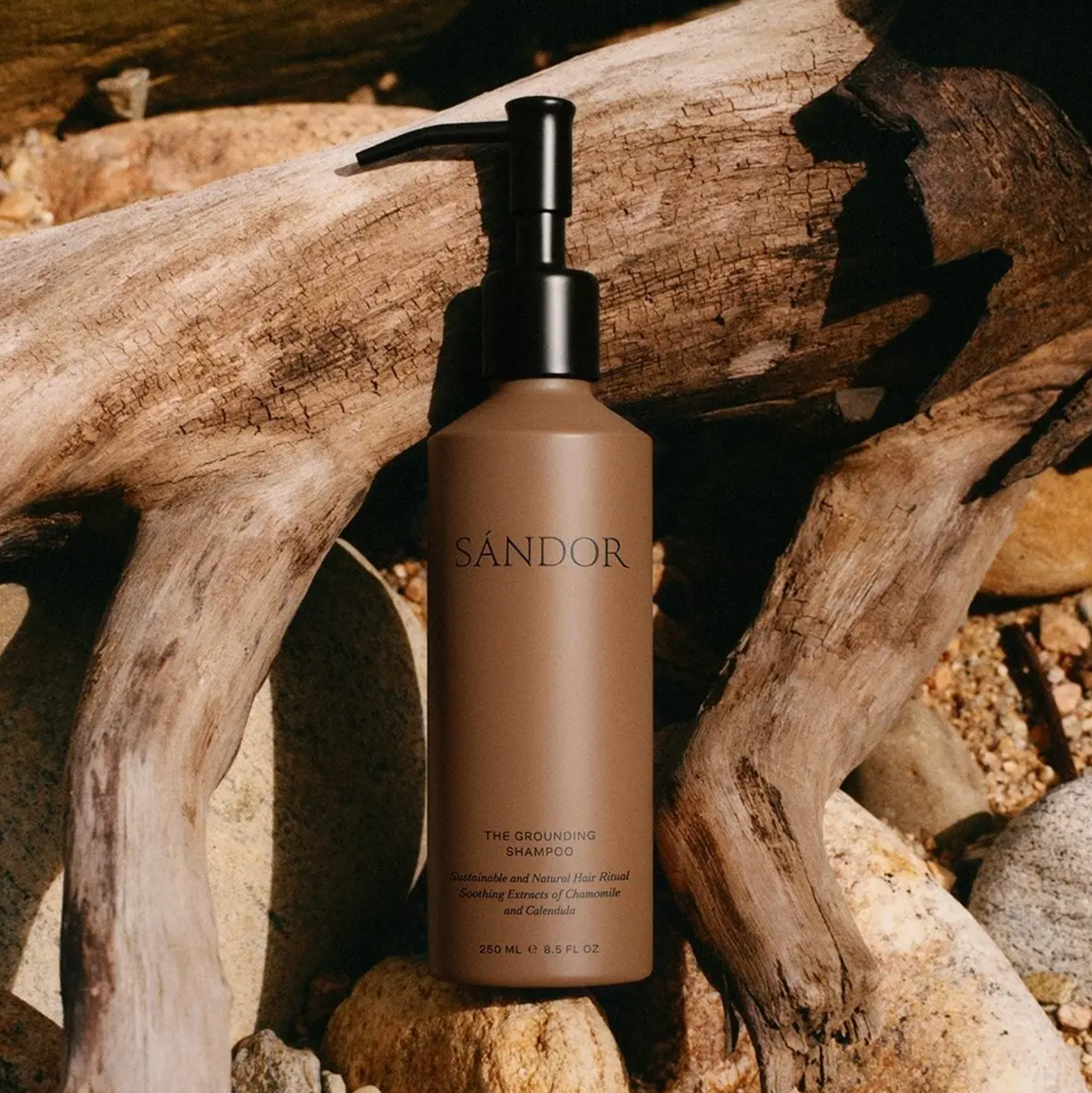 The Grounding Shampoo