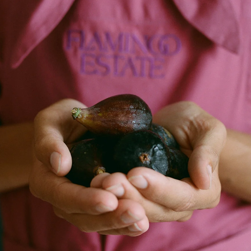 Noir Fig Balsamic Vinegar