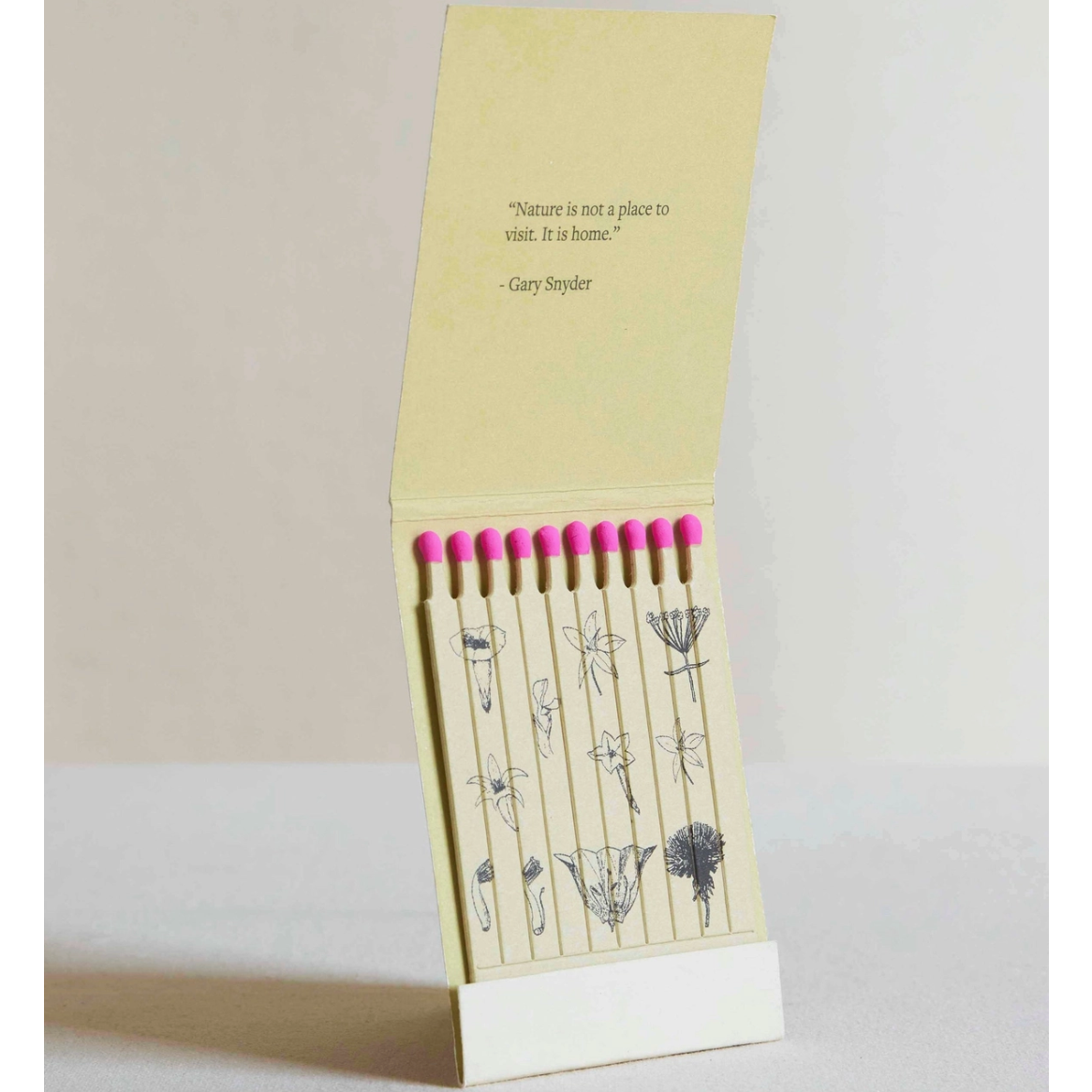 Wild Pink  Botanical Matches