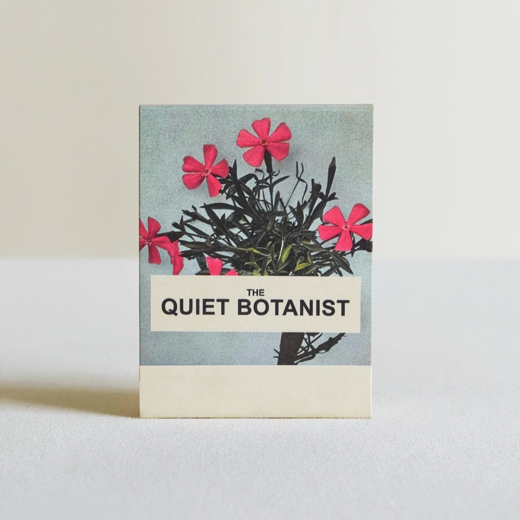 Wild Pink  Botanical Matches