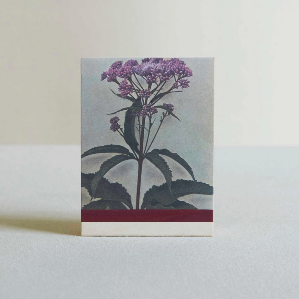 Wild Pink  Botanical Matches