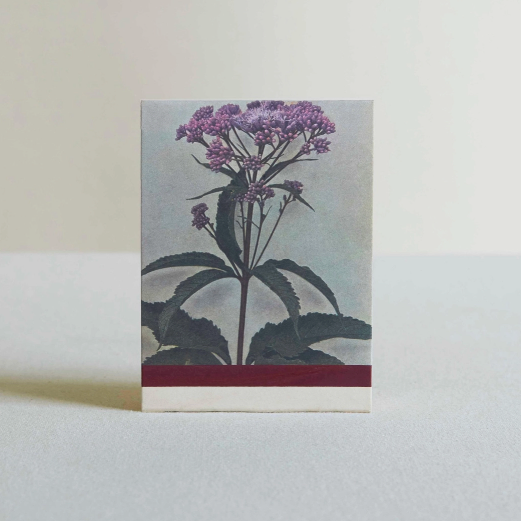 Wild Pink  Botanical Matches