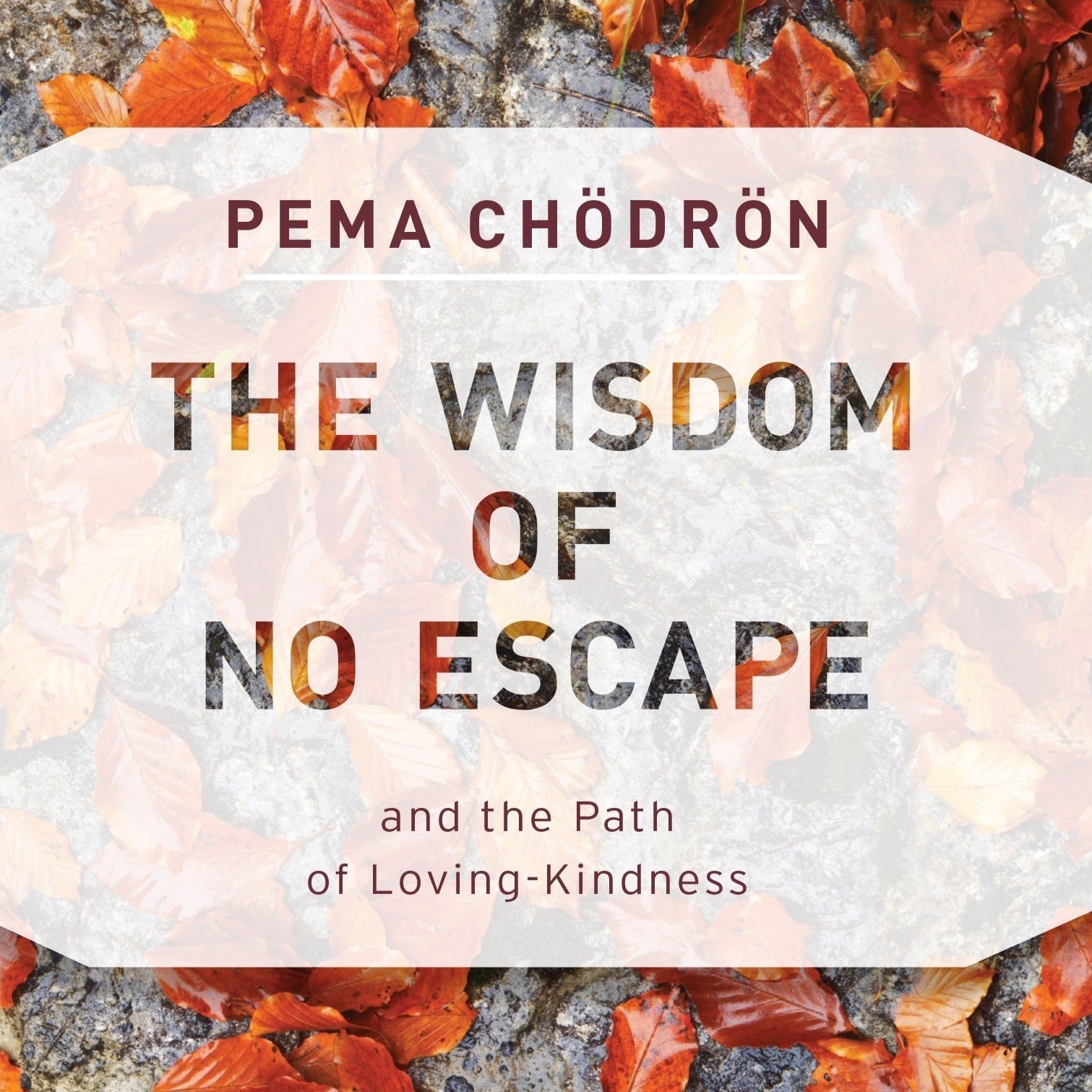 Pema Chodron - The Wisdom of No Escape and the Path of Loving Kindness