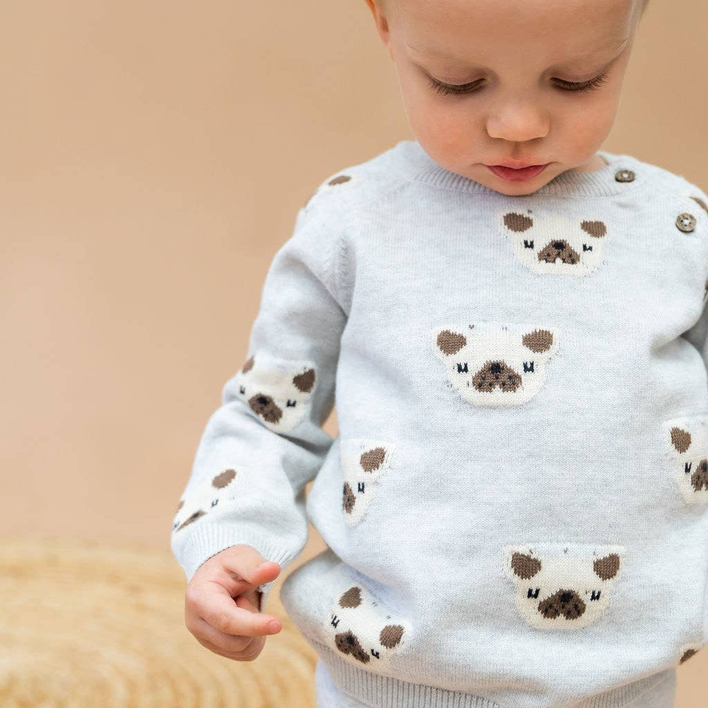 Frenchie Puppy Jacquard Knit Baby Pullover + Pants  Organic