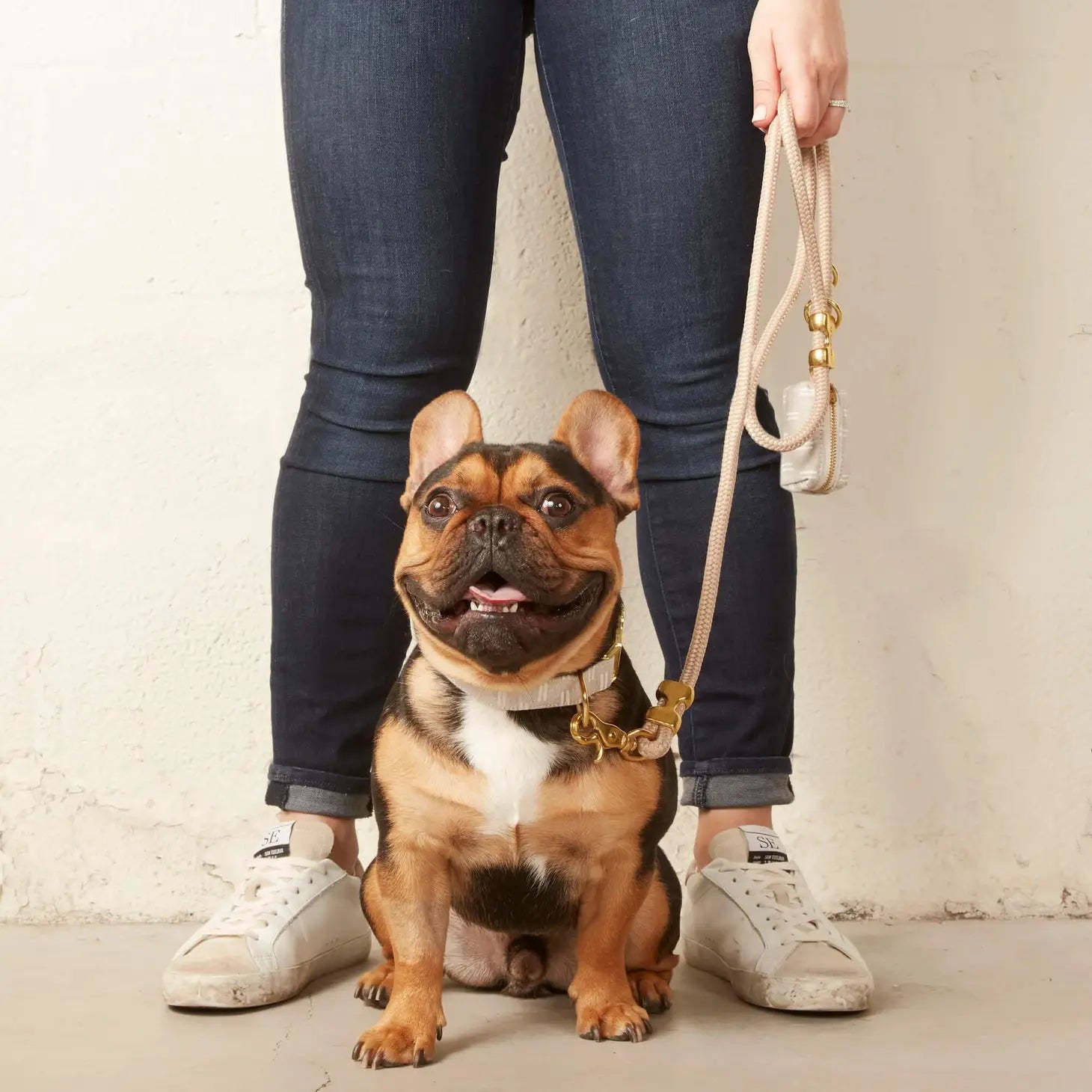 The Foggy Dog Flax Lines Waste Bag Holder-Gray