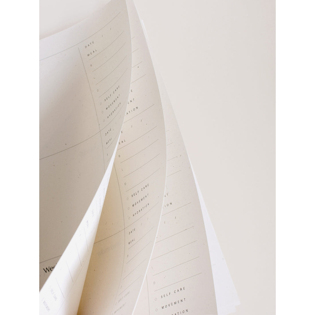 Wilde House Musings Weekly Planner in Sand