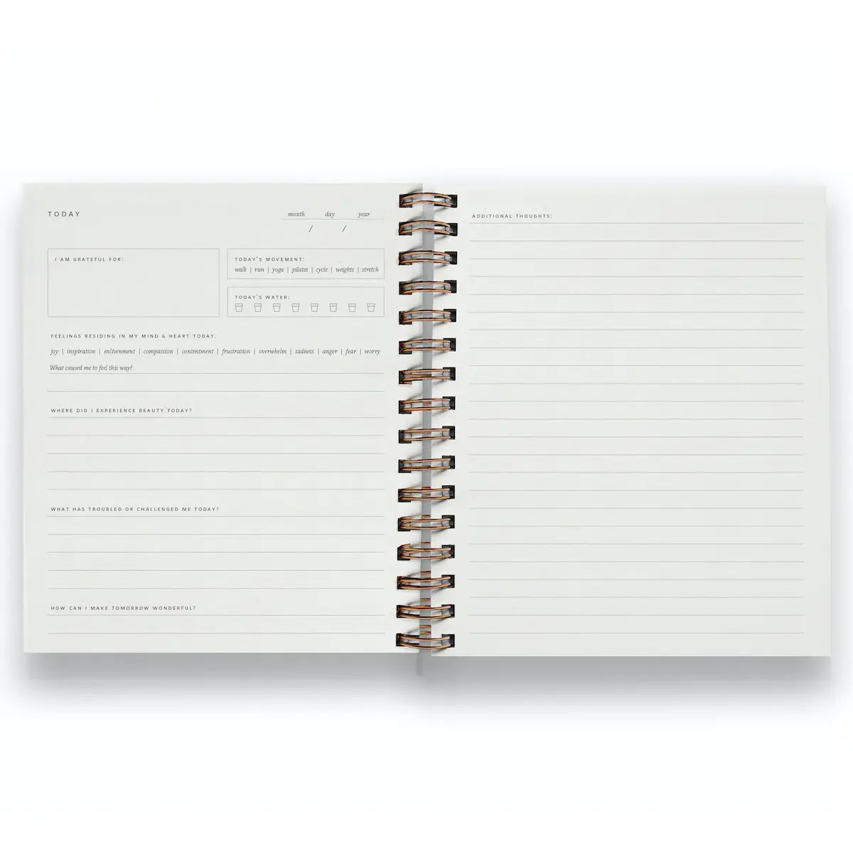 Ramona & Ruth Daily Pause Journal - Chalk White