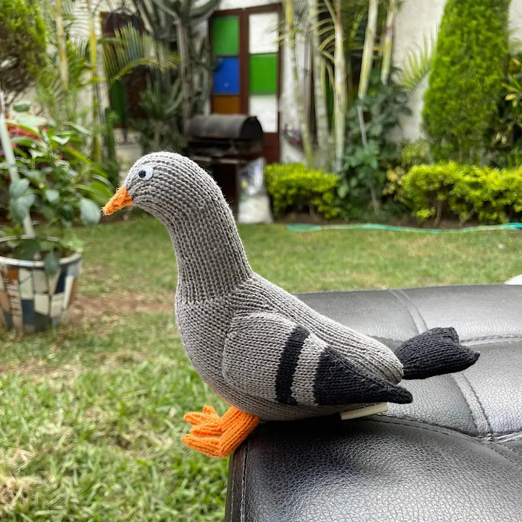 Organic Pigeon Rattle